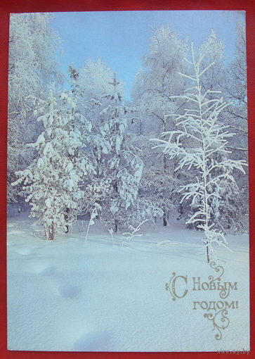 С новым годом! Чистая. 1990 года. Фото Буркина. 938.