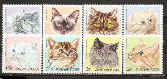 ФФ1 Венгрия 1968 Кошки