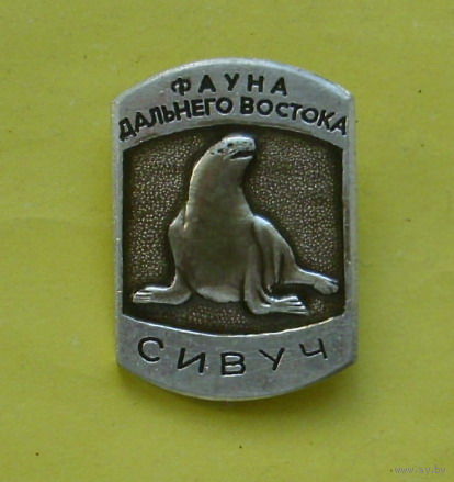 Фауна Дальнего Востока. Сивуч. 234.