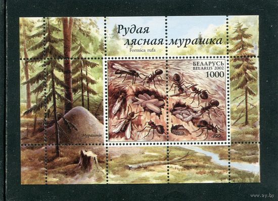 Беларусь 2002. Фауна. Муравьи. Блок