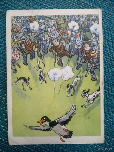 Открытка. Сезон начался. (Охота, сатира, юмор). Художник И. М. Семёнов. 1960 год.