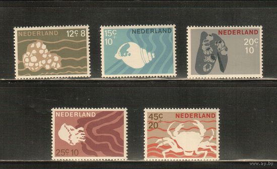 Нидерланды-1967(Мих.873-877) , ** , Морская Фауна, Крабы, Раковины (полная серия)