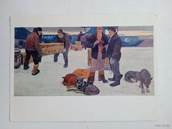Снегирев. В Арктике