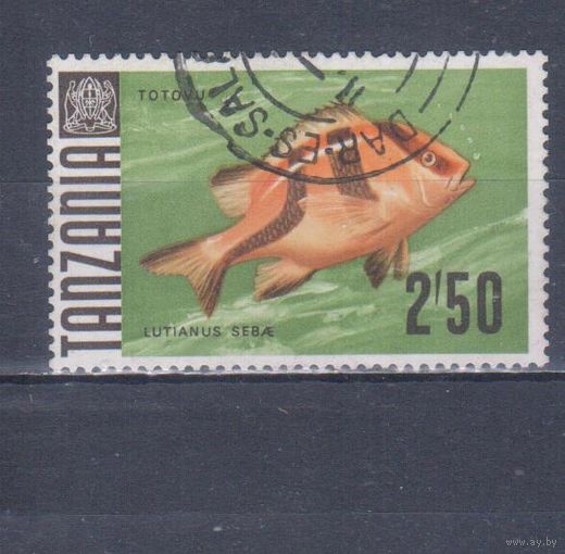 [1735] Танзания 1967. Фауна.Рыба. Гашеная марка.