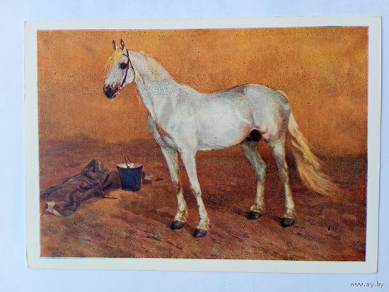 1959. Самокиш. "Громадный"