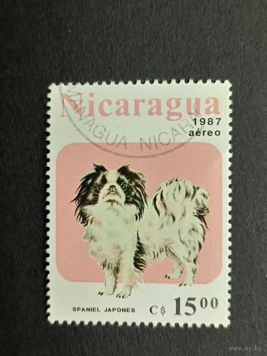 Никарагуа 1987. Собаки