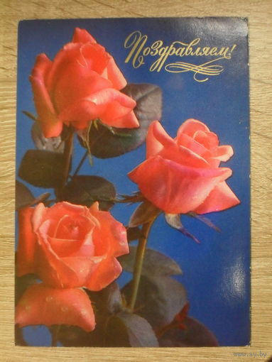 ПОДПИСАННАЯ ОТКРЫТКА СССР. "ПОЗДРАВЛЯЕМ". ФОТО. Г. КОСТЕНКО. 1976 ГОД.