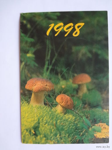 Календарик 1998 г. Боровики.