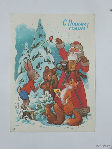Кузнецов с новым годом 1977  10х15  см