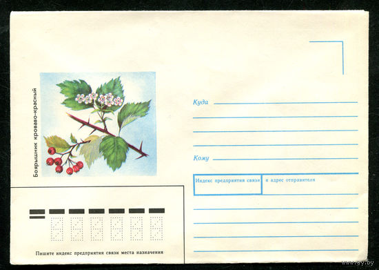 Конверт. Боярышник. 1989