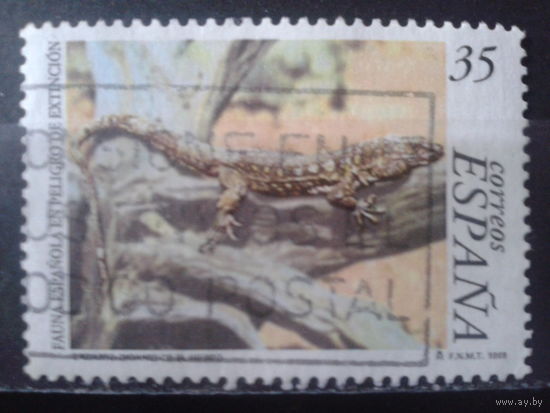 Испания 1999 Ящерица