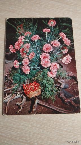 Открытка СССР