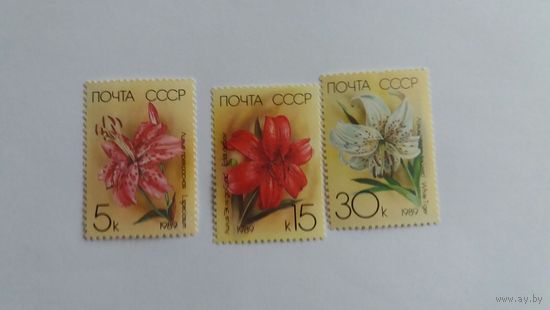 Ссср 1989 3м цветы