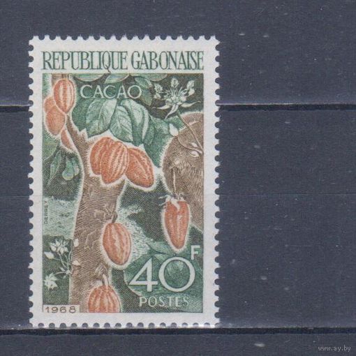 [773] Габон 1968. Флора.Какао.Плоды. MNH