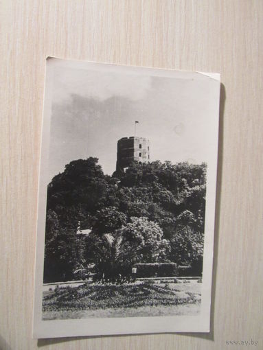 Вильнюс. Башня Гедимина. 1961 г.