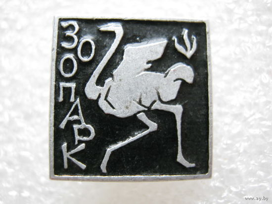 Зоопарк, страус.