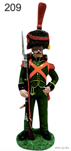 Наполеоновские войны. Выпуск 209