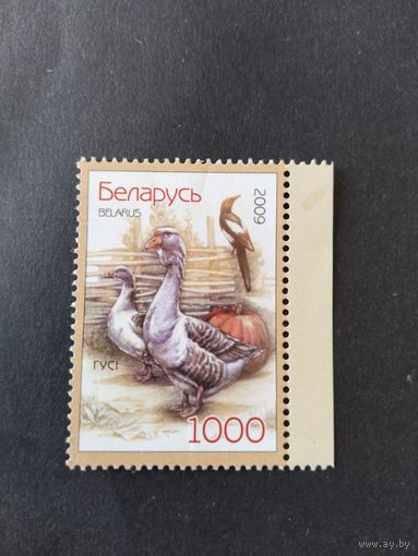 РБ