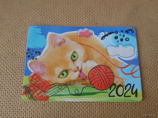 Карманный календарик. Котик. 2024 год