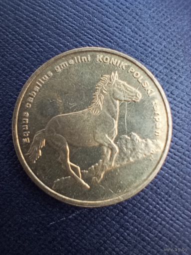 2 злотых 2014 Коник польский тарпан