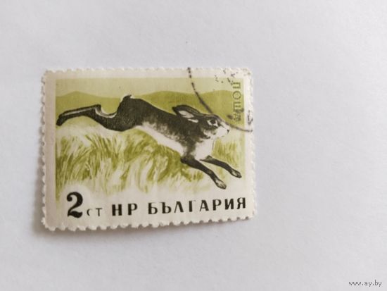 Болгария 1958 заяц