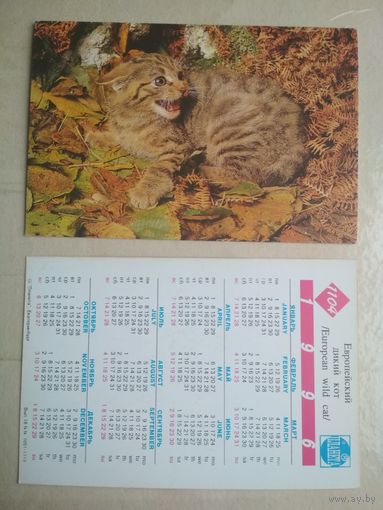 Карманный календарик. Кошки . 1996 год