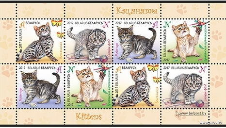 2017г Беларусь MNH Малый лист "Котята"
