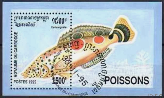 БЛОК ФАУНА РЫБЫ МОРСКИЕ ОБИТАТЕЛИ