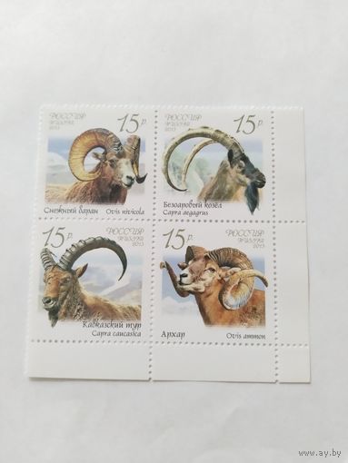 Россия  2013 кв/бл бараны