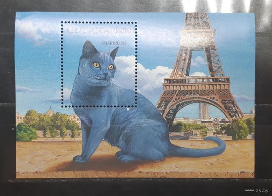 Гайана. Фауна. Кошки. Блок (774)