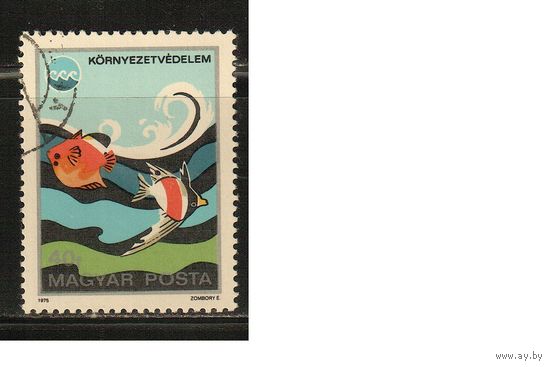 Венгрия-1975(Мих.3070) , гаш.  , Фауна, Рыбы,