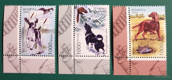2010 Охотничьи собаки Беларусь