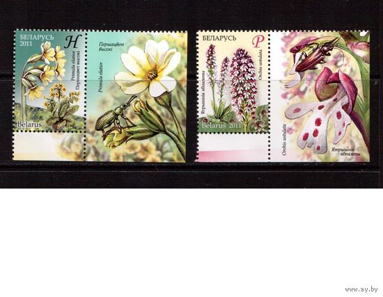 Беларусь-2011,(Мих.845-846) 2 м+куп.