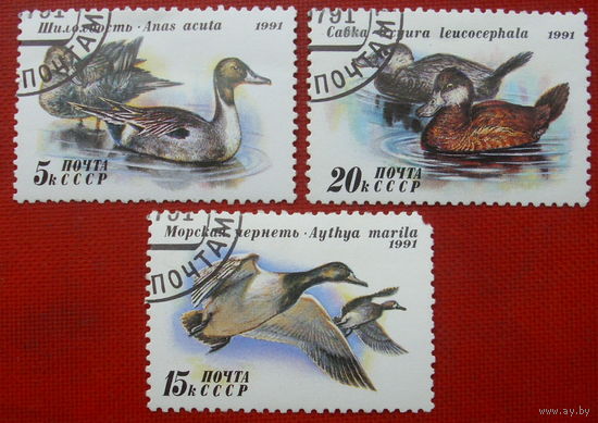 СССР. Утки. ( 3 марки ) 1991 года.