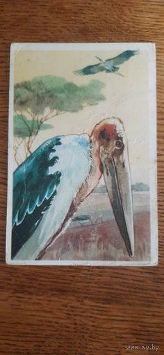 СССР. Марабу. 1968г. подписана