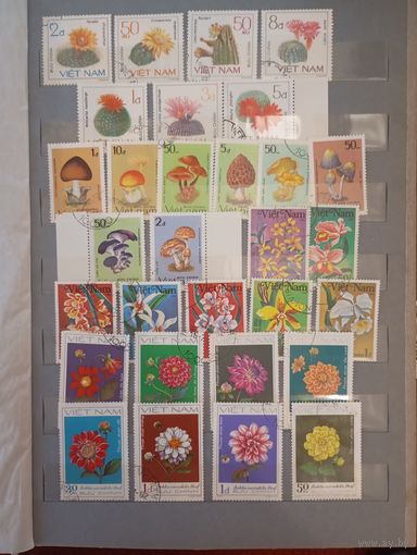 Флора сборный Вьетнам 4 серии