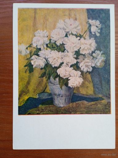 1955. цветы. Берлявская. Натюрморт. Пионы