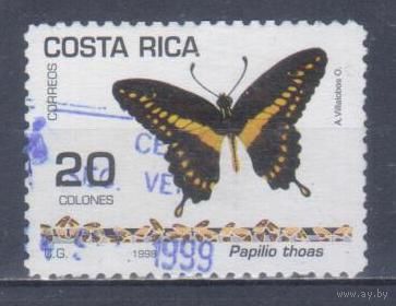 [668] Коста Рика 1998. Фауна.Бабочка.20к. Гашеная марка.