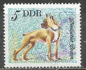 ГДР. Собаки. Немецкий боксёр. 1976г. Mi#2155.