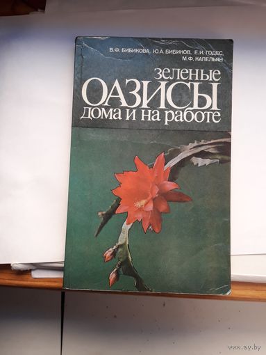 Бибикова Оазисы дома и на работе