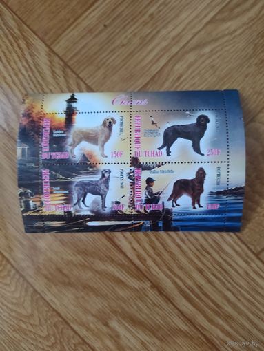 Чад малый лист 2013г. Породы служебных собак