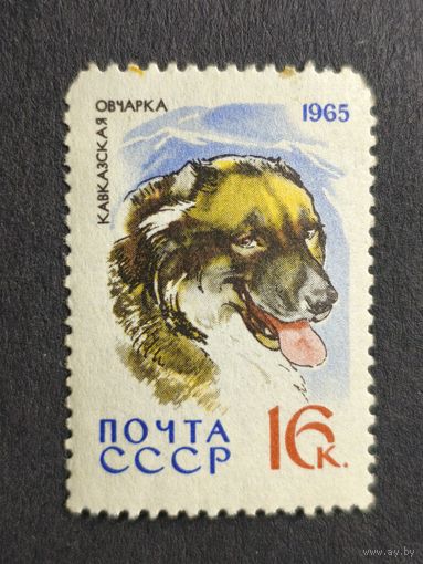 1965 СССР. Охотничьи и служебные собаки