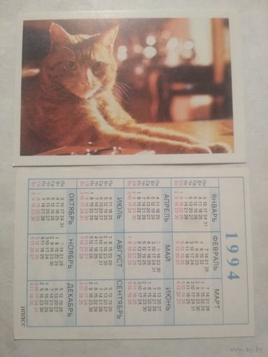 Карманный календарик. Котик.1994 год