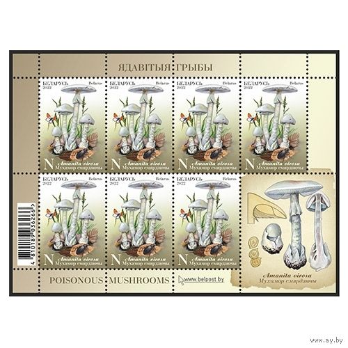 2022 БЕЛАРУСЬ  Малый лист "Мухомор вонючий" MNH