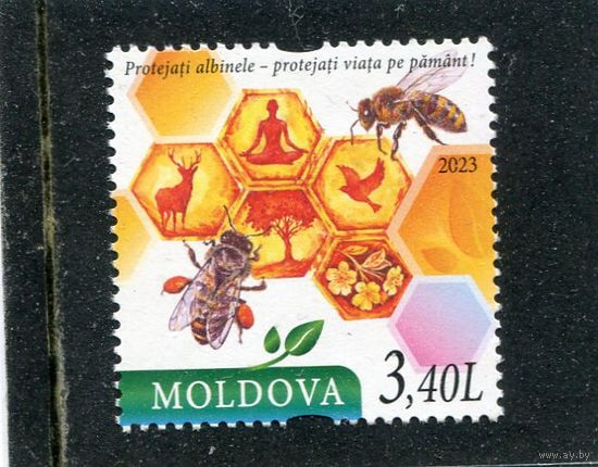 Молдавия 2023. Пчеловодство