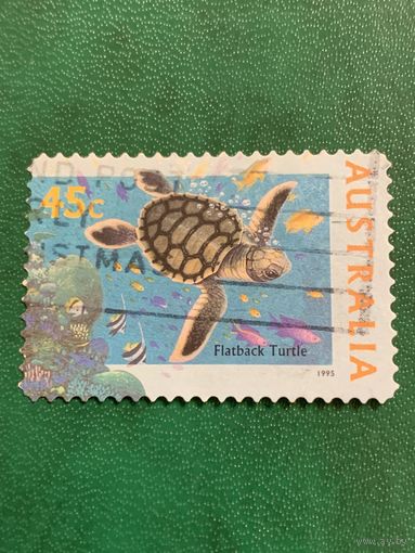 Австралия 1995. Черепаха. Марка из серии