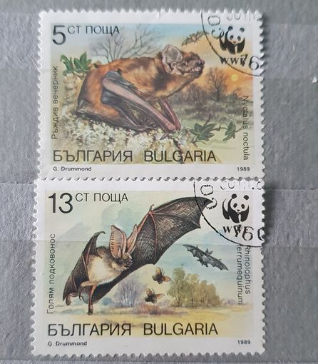 Болгария летучие мыши 2шт