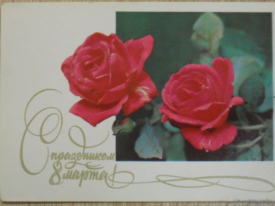 ПОДПИСАННАЯ ОТКРЫТКА СССР. ПРОШЕДШАЯ ПОЧТУ. "С ПРАЗДНИКОМ 8 МАРТА". ФОТО. Г. КОСТЕНКО. 1975 год.