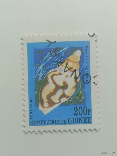 Гвинея 1998.  Раковины морских улиток