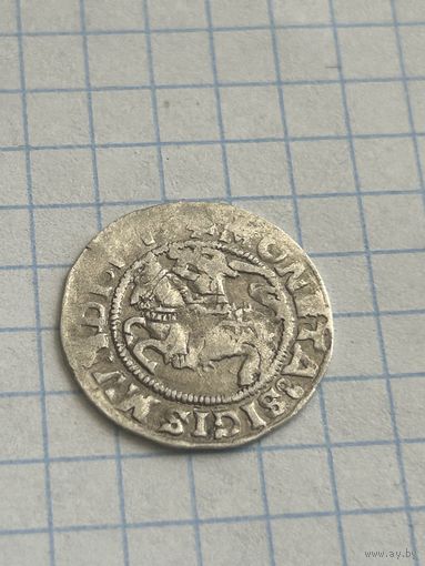 Полугрош 1519 года